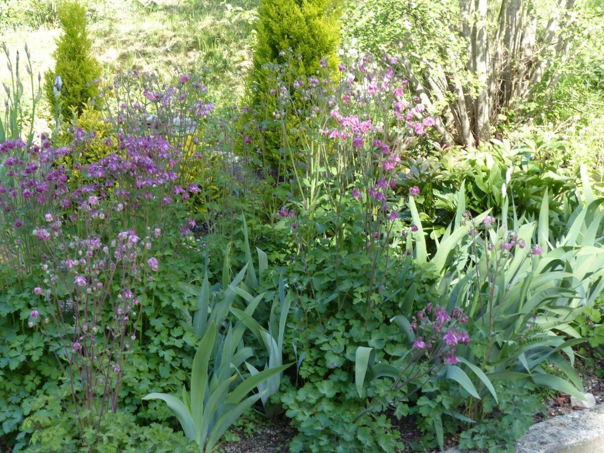 Blangy-sur-BresleDuplex 4 Personnes La Calypso公寓 外观 照片